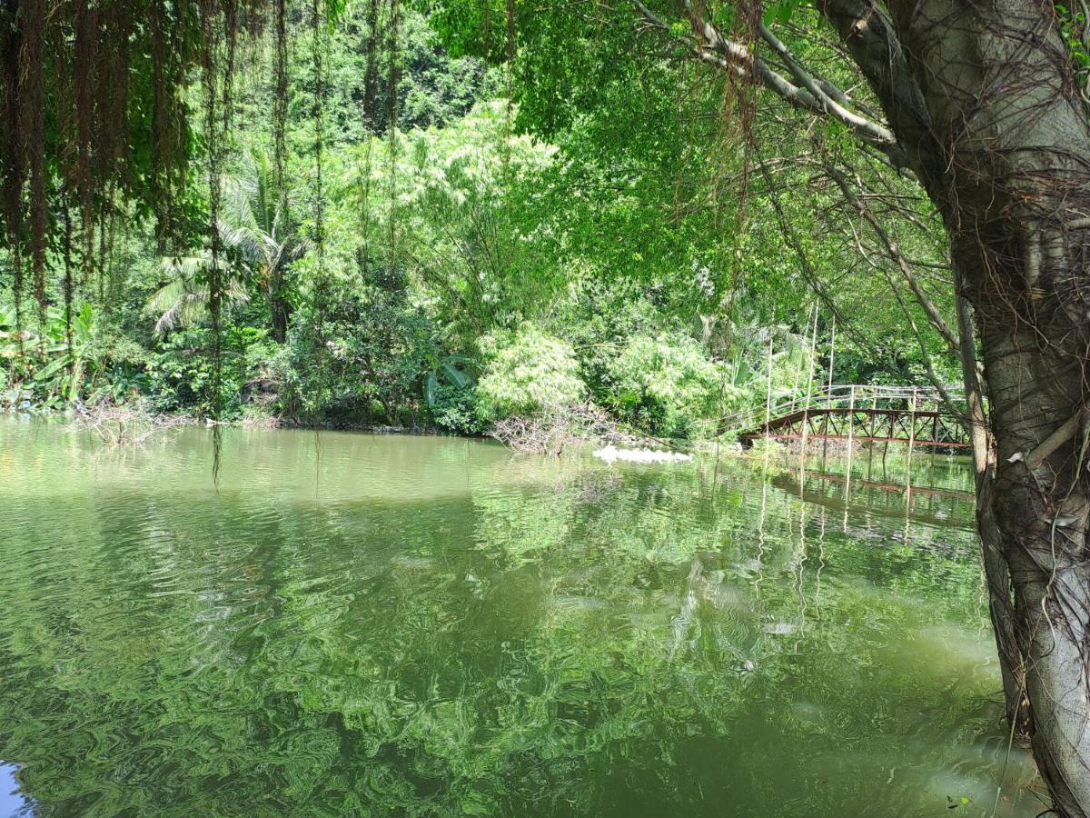 Thung Sen Tam Coc Chalets Нин Бин Екстериор снимка