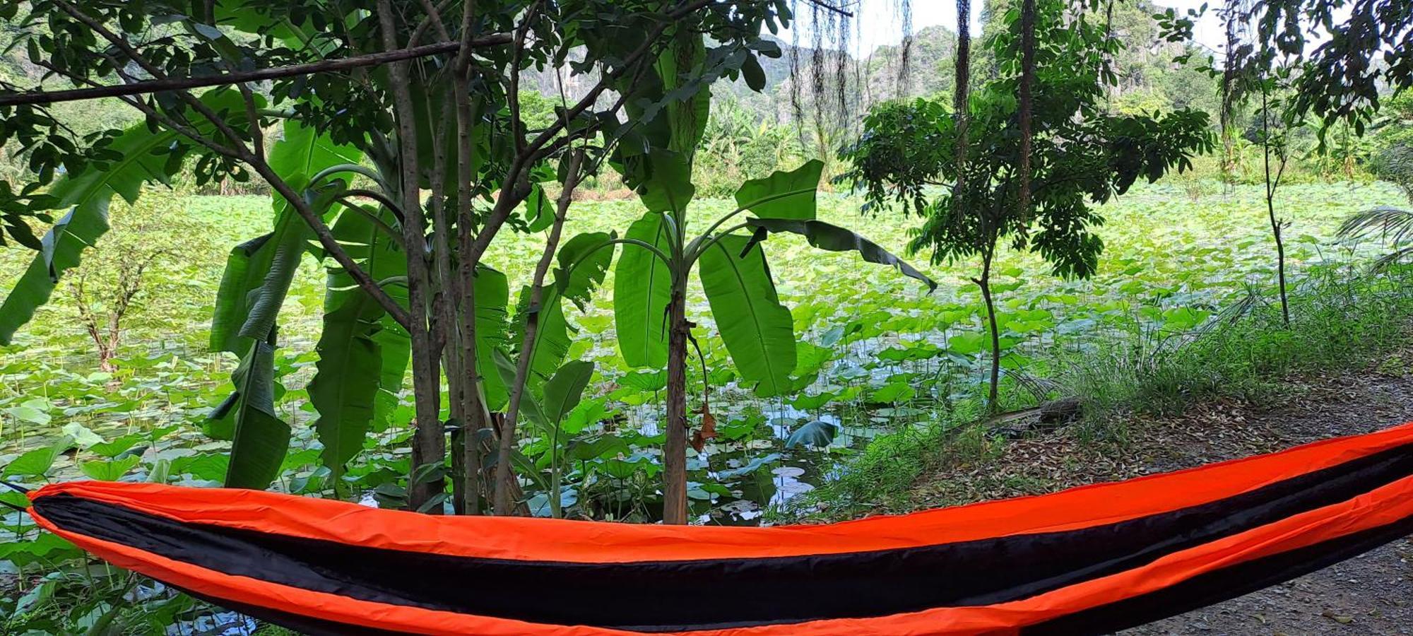 Thung Sen Tam Coc Chalets Нин Бин Екстериор снимка